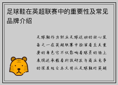 足球鞋在英超联赛中的重要性及常见品牌介绍